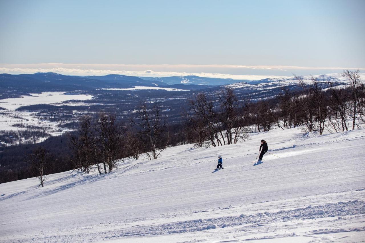 Ski Lodge Taenndalen المظهر الخارجي الصورة